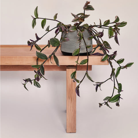 Banqueta De Madera Peuma